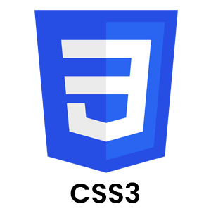 02 css